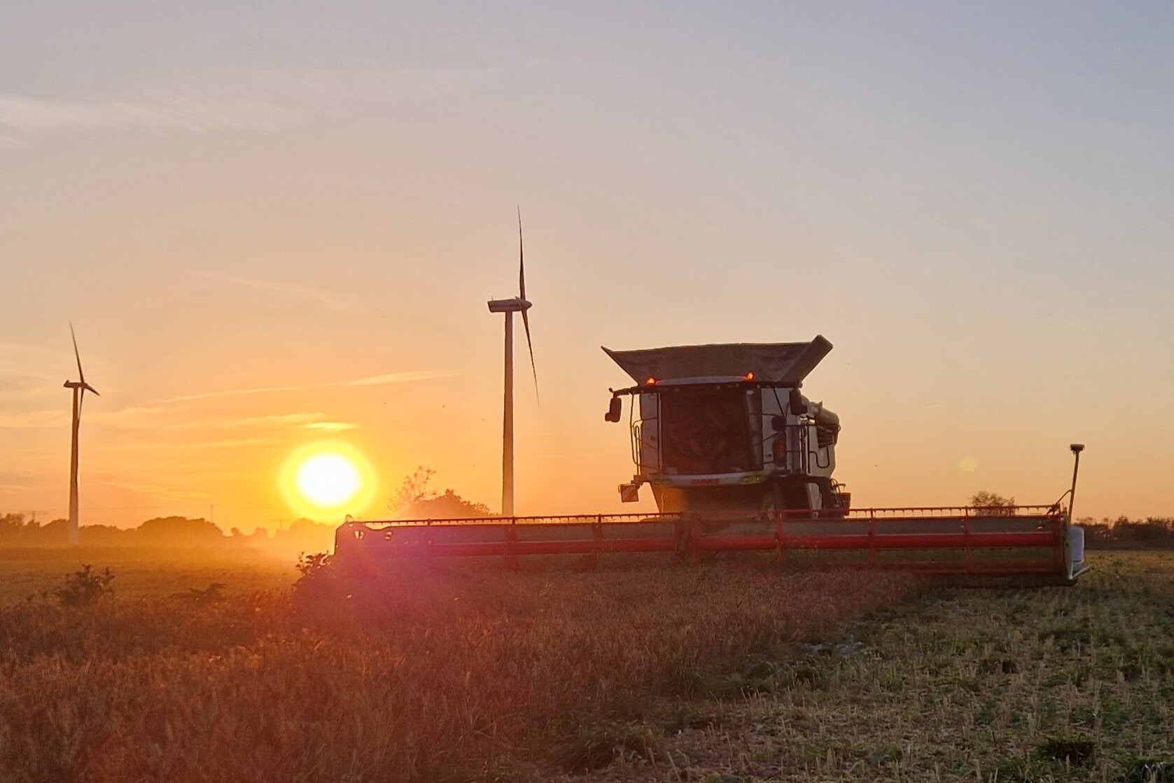 Mähdrescher bei der Mahd, Sonnenuntergang im Hintergrund.