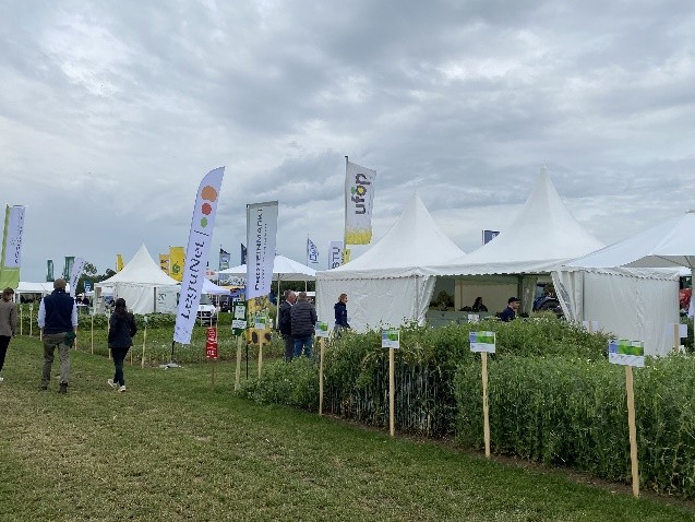 Zelte auf einer landwirtschaftlichen Outdoor-Messe.
