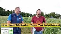 Wintererbsenanbau auf dem Zehntfreyhof - DemoNetErBo